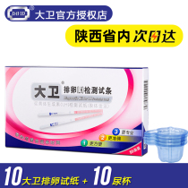 David ovulation test paper 10 pack high-precision ovulation follicle LH detection excellent pregnancy test paper