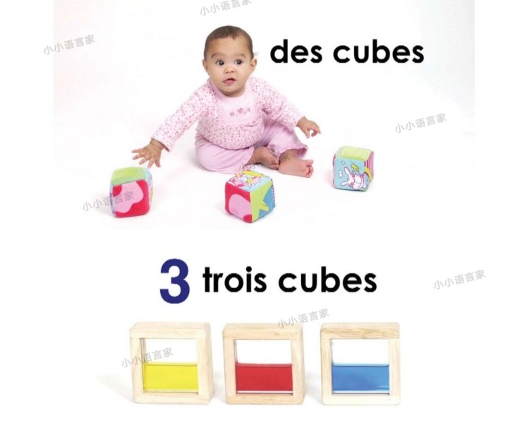 法语启蒙 幼儿 儿童零基础法语启蒙动画片 Little pim french 法语学习素材