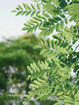 More new products must pay attention to the microstore ~ ~ ~ ~ not yet added contact customer service to address the site