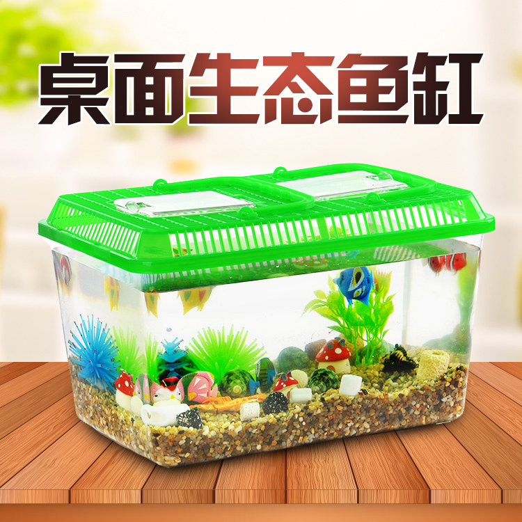 eco fish tank