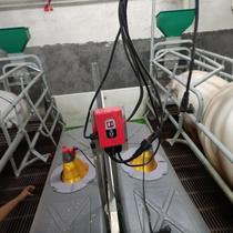 Piglet electric heating plate switch sow farrowing bed incubator veterinary heating plate piglet house electric floor heating temperature controller