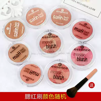 Spot German natural plant essence Silky mosaic blush concealer oil control silky cute powder