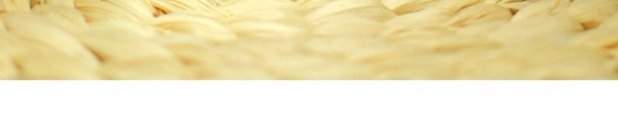 Spot Đức catrice đầy màu sắc gradient phấn hồng tinh tế mờ mới 8g - Blush / Cochineal phấn má hồng màu cam đất