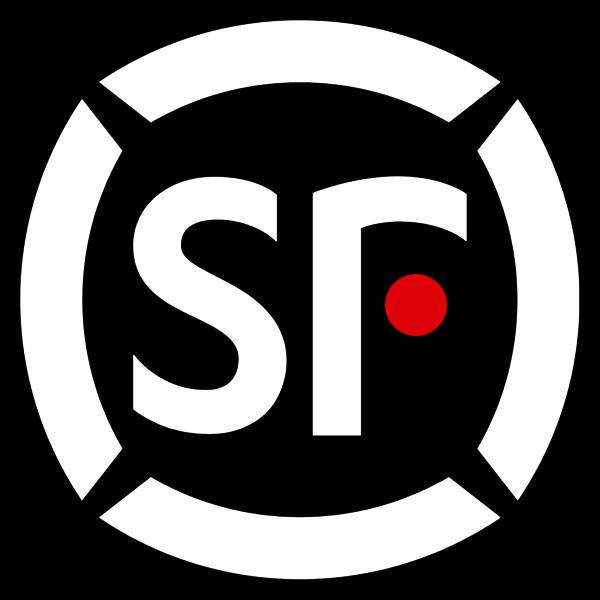 EMS Shunfeng postage shipping freight premium compensation How much to shoot