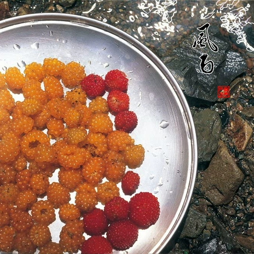 Японская снежная пик из нержавеющей стали блюдо блюдо из чаши для еды блюда, открытая посуда для кемпинга многопользовательская посуда TW-021