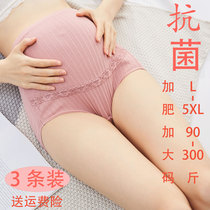 Extra fat plus size 200 kg pregnant womens underwear pure cotton high waist pregnant mid-and late-stage short antibacterial loose breathable fat m