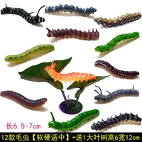 12 Caterpillars [Умеренный жесткий и жесткий]+Отправьте большое дерево листьев