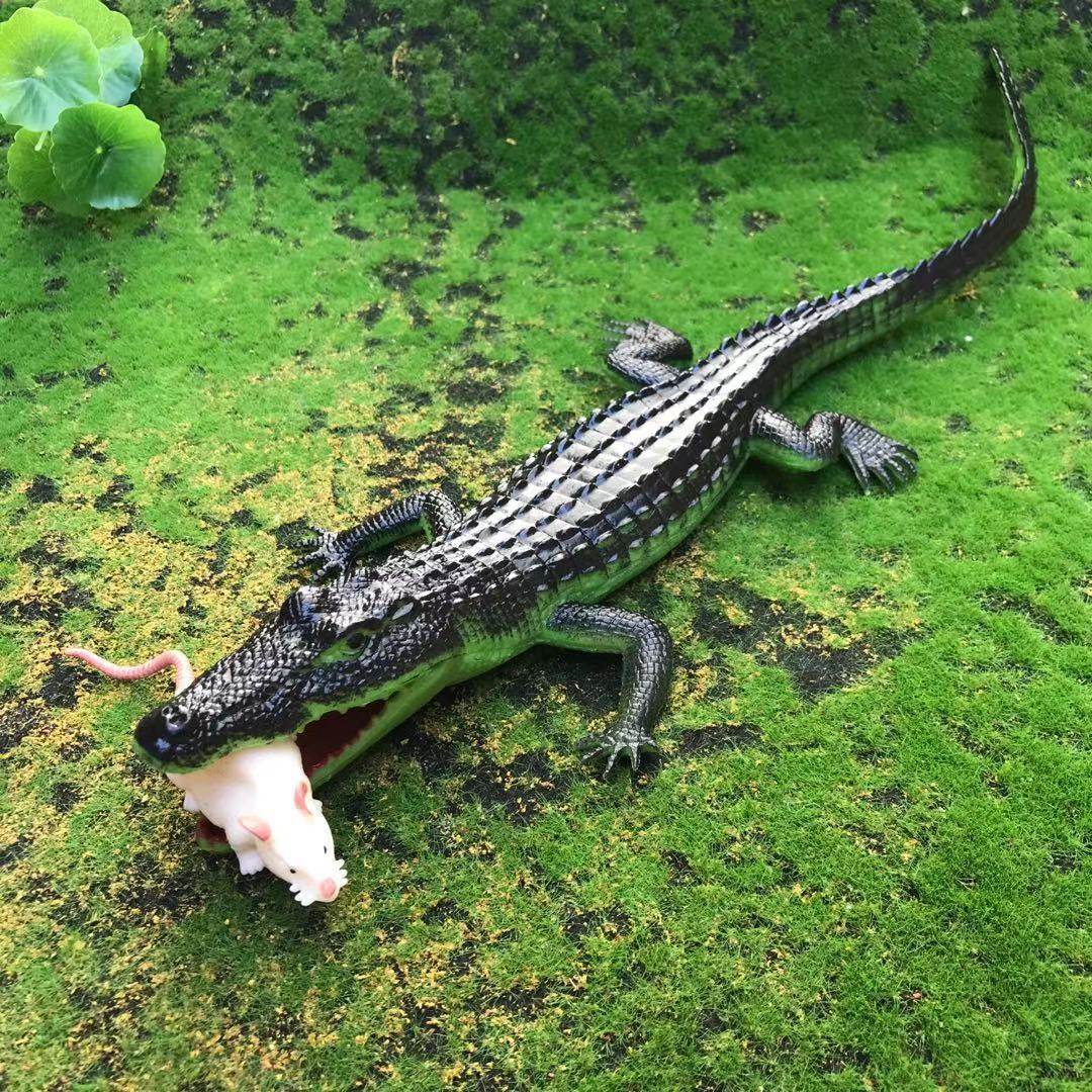 Simulation of soft-glue crocodile static animal model toy sound plastic plastic marine crawler gift