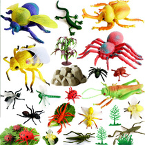 Simulated insect animal model childrens toy package spider bee grasshopper ladyworm neutral static puzzle teaching tool