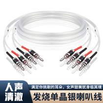 Dutch Fever Speaker Horn Line 5NOCC High Pure Single Crystal Copper Silver Plated HIFI Sound Bile Machine Power Amplifier Connection