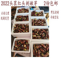 2022 Fresh Tree Head Vegetable Stabbing of the Old Sprout Half Catty of the Old Bab Spurs Piercled Shoots of the Vegetable Wild Vegetable Great