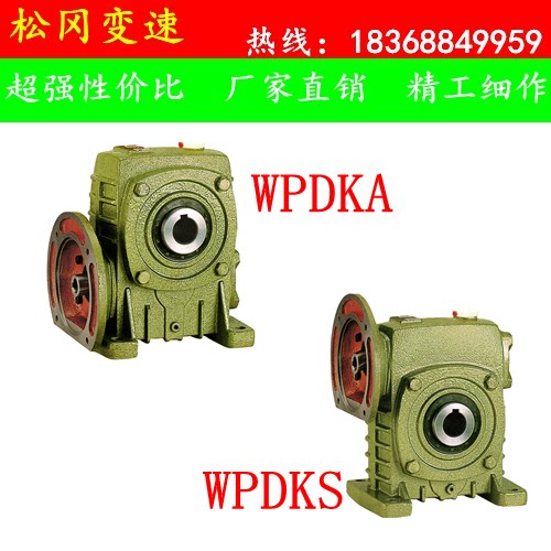 WPDKA WPDKS 50 60 70 80 100 120 135 155 175 Worm gear reducer