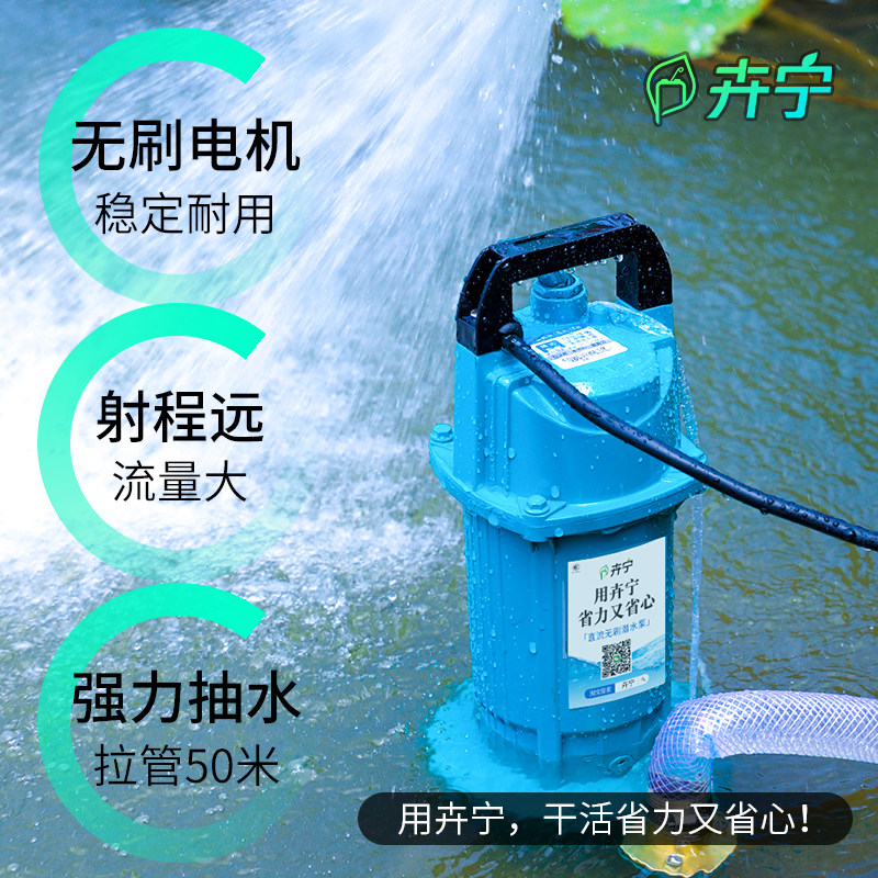 水泵农用水泵灌溉潜水泵电动车48v60v高扬程抽水泵无刷电瓶抽水机