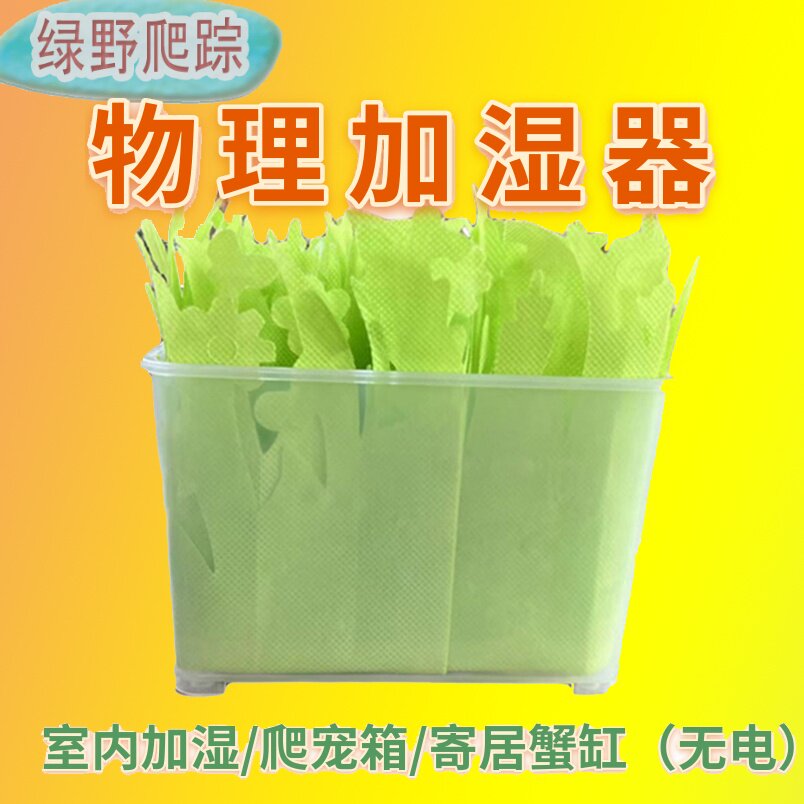 Physical Humidifiers Natural Evaporation Land Tortoise Box Lizard Lizard Reptile Reptile Emulated Plant Grasper Increases Wet Grass Leafs-Taobao