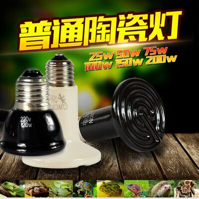 Ceramic lamp heating lamp insulation lamp standard mini tortoise reptile box incubator snake hedgehog thermostatic heating lamp