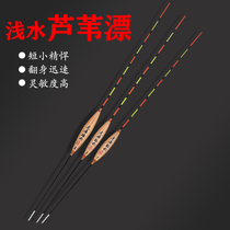 Reed shallow water float ultra-short crucian carp float highly sensitive reed water skin float grass hole small float bold set winter fishing float