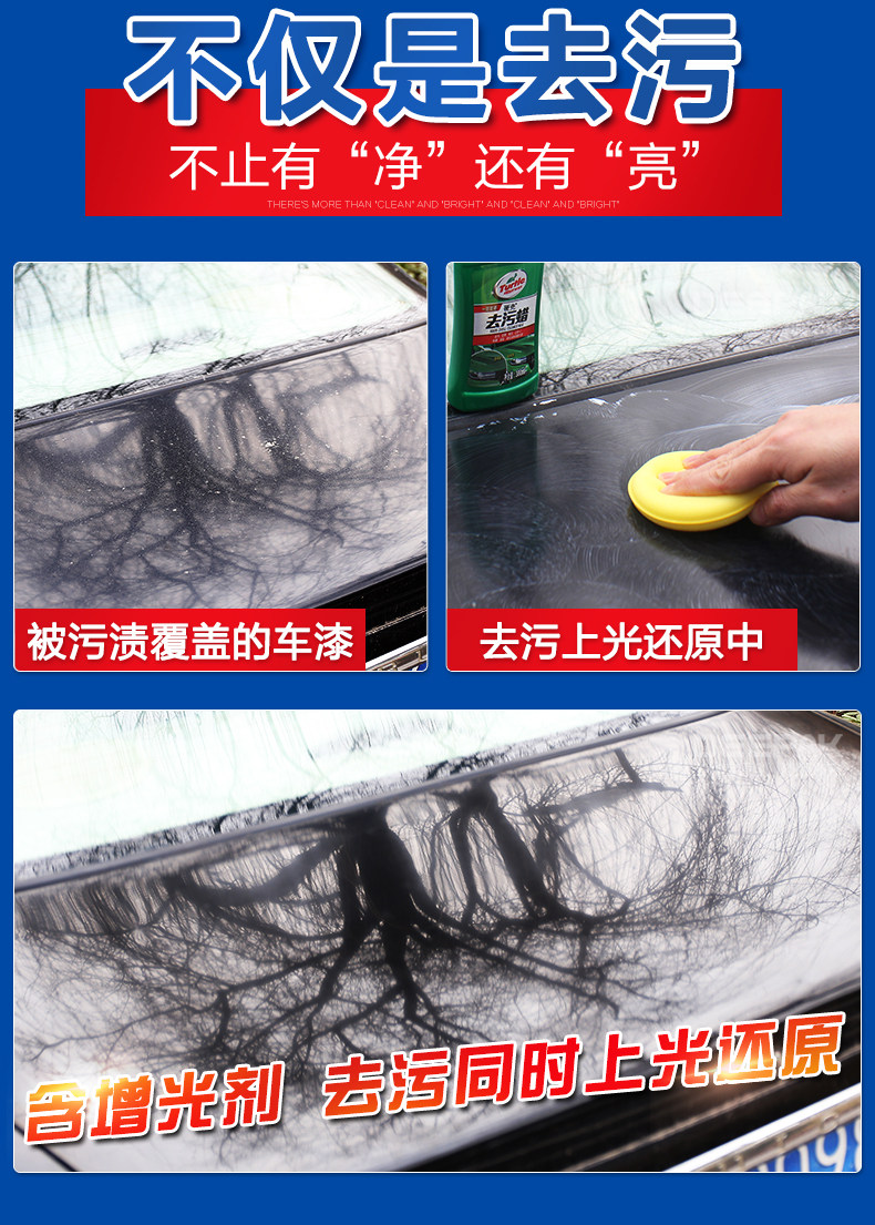 Бренд черепахи дезактивация wax_12.jpg