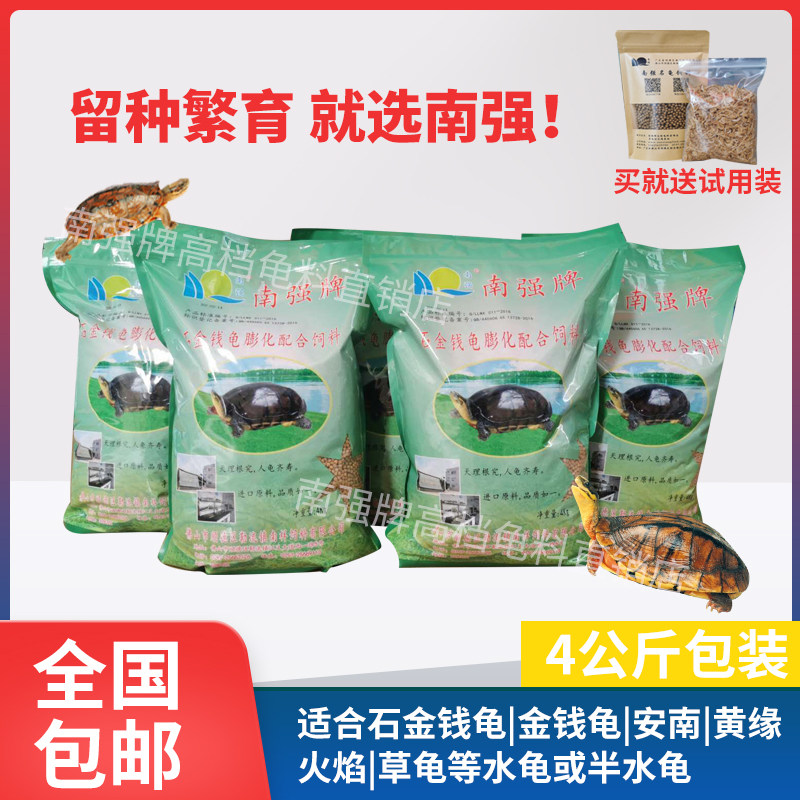 South Strong Brands Stone Gold Money Turtle Stock Black Neck Turtle Gold Money Tortoise Pet Tortoise Turtle Common High-end Tortoise Fodder Original Dress