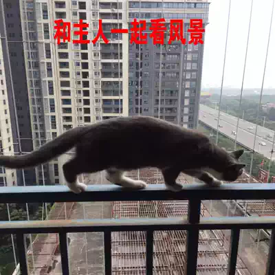 Invisible protective net balcony 316 stainless steel wire anti-theft window anti-cat fixed Foshan Zhuhai Zhongshan Jiangmen door-to-door security
