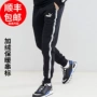 Quần tây nam Puma quần âu 2019 thể thao mùa đông ấm áp cộng với quần nhung chân dây quần 852418 quần tập gym nữ ngắn