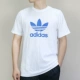 Adidas clover ngắn tay nam 2019 hè mới thể thao giản dị thoáng khí cổ tròn áo thun CW0710 - Áo phông thể thao