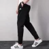 Adidas Adidas Quần nam 2018 Quần thể thao mới Đan Quần Quần chân Quần Wei Quần DZ7229 quần the thao nam ống rộng Quần thể thao