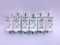 Chint fast fuse body ceramic fuse core RS711BC NGTC00 160A125A100A63A