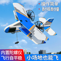 Mini-enfants Remote Control Aircraft Fixed Wing Double Wing Glider Miniature Fighter Jet Resistant Foam Aerial Model Toy