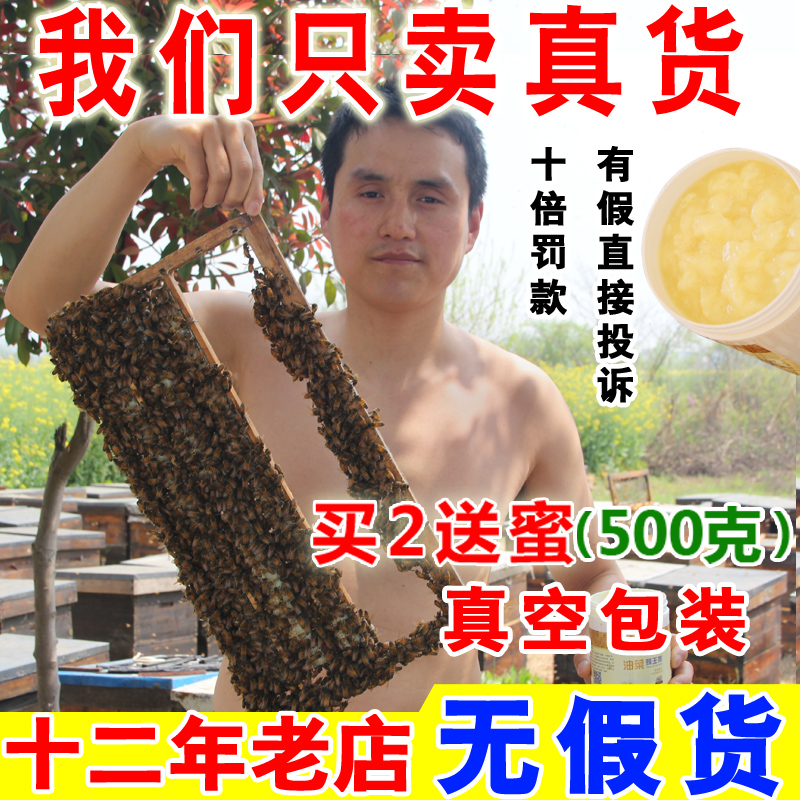 Direct sales of royal jelly wild pure natural homegrown fresh royal jelly 500g (buy 2 free honey)