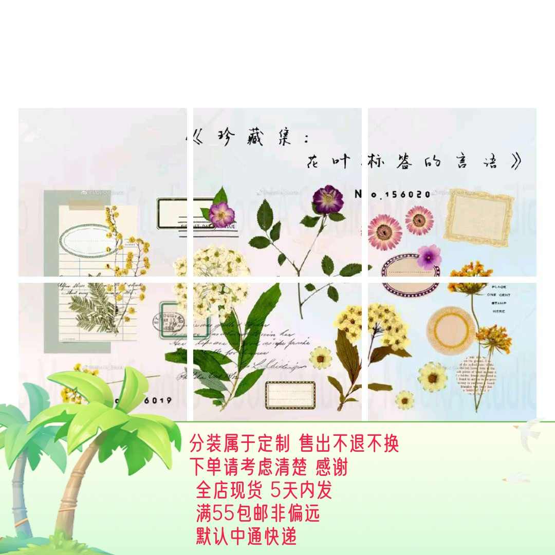 PET 8cm×10m mooka studio 珍藏集 花叶标签的言语 PET 8cm×10m mooka studio 珍藏集 花叶标签的言语