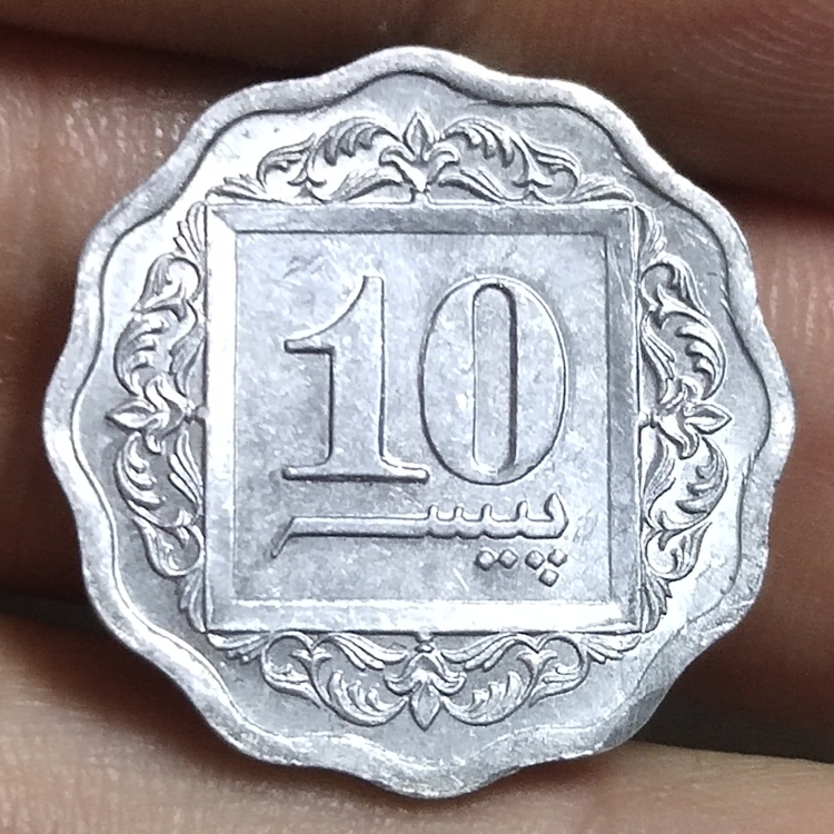(any full 30) Pakistani 10 paisa coins with a diameter of 22mm and a plum blossom special-shaped coin