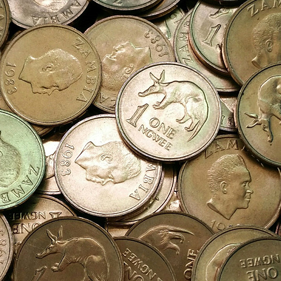 (Any full 30 yuan) Zambia foreign coin collection single new animal coin anteater