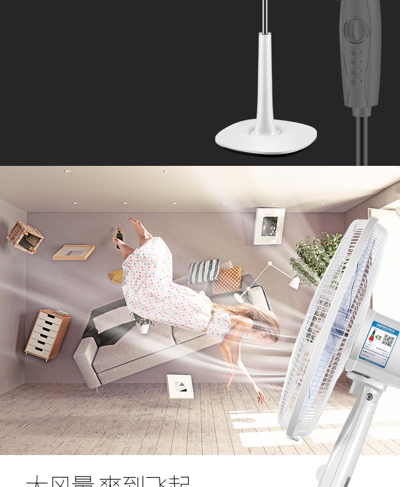 giá quạt công nghiệp điện cơ Quạt điện tiên phong DD1607 / FS40-16D máy móc gia đình thời gian quạt sàn 10 cánh quạt gió khối lượng gió - Quạt điện quạt nhỏ