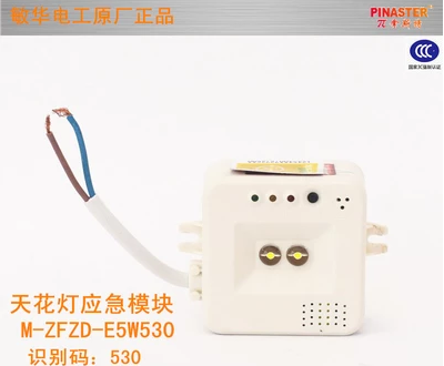 P I N A S T E Rünster fire emergency suction dome lamp embedded LED built-in module N-ZFZD-E6W340