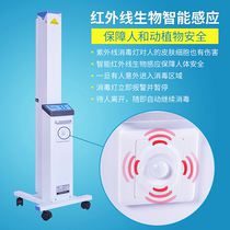 Feiyang FY-30DCI infrared induction double tube carbon steel UV lamp car sterilization lamp car stainless steel