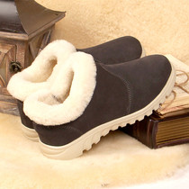 Olin Australia Wool Shoes Mens Low Help Casual Warm Shoes Cotton Shoes Leather Wool All-waterproof Non-slip Snowy Boots Woman