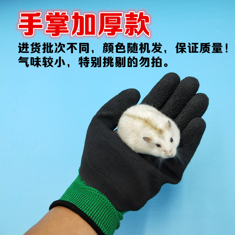 Hamster Anti-bite anti-gnawing Golden Silk Bear Squirrel hedgehog training Anti-scratchproof anti-prick protection cleaning gloves Small darling items