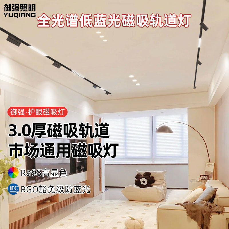 暗藏线形磁吸轨道灯！无边框嵌入式客厅神器，颜值与功能双爆表🔥-轨道磁吸灯-淘宝好物网