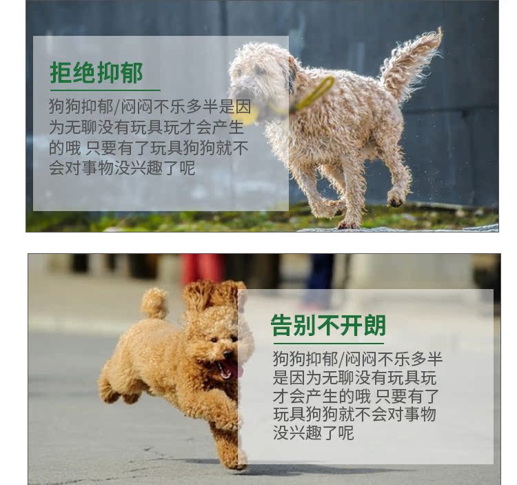 Pet cao su mol mol cắn mèo Teddy cún cắn keo hơn gấu tương tác đào tạo cung cấp đồ chơi con chó con đồ chơi cho chó cắn