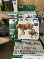 Преподаватель львицы и детского сада 3 бесплатная доставка