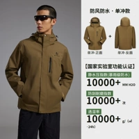 【Одиночный удар】 Янтарный коричневый