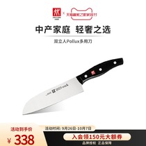 German double man knife cutter kitchen knife fruit vegetable knife Pollux series stainless steel Special Counter