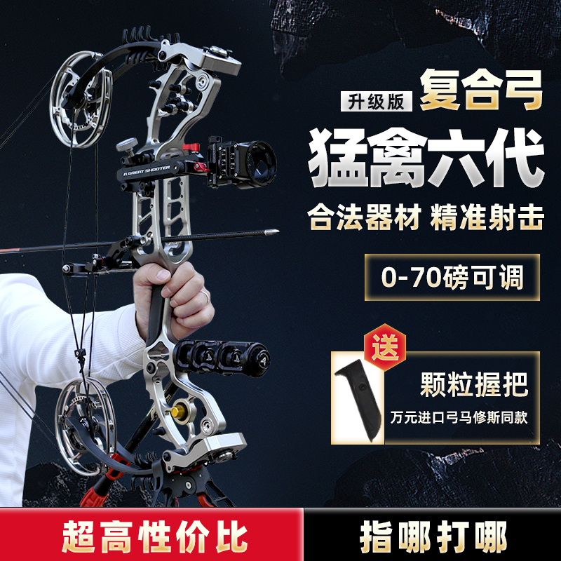 Raptor 6Th Generation Compound Bow for Steel Ball Shooting, High-Power Professional Shooting, High-Precision Dual-Purpose Bow for Adults