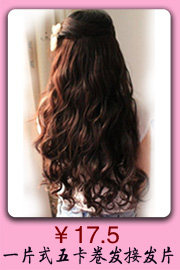 Extension cheveux - Chignon - Ref 235352 Image 13