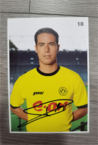 Ricken autograph official card Dortmund Bundesliga Germany rare Dot