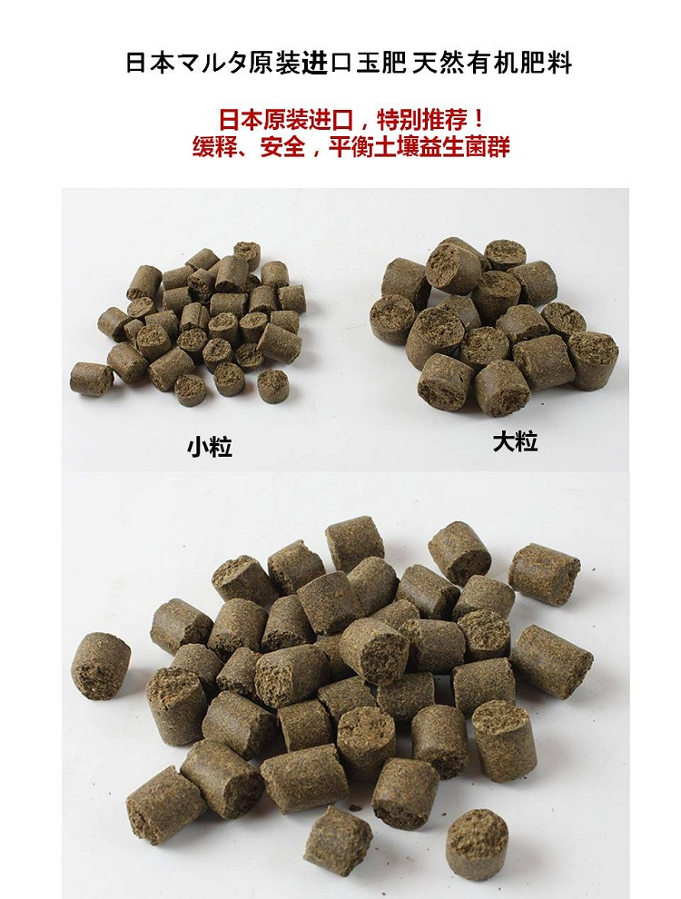 Ngọc hộp phân bón phát hành chậm phân bón hộp ngọc phân bón hộp đặc biệt nhập khẩu ngọc thụ tinh hộp nguồn cung cấp vườn bonsai phân bón hộp chậu ghép thông minh