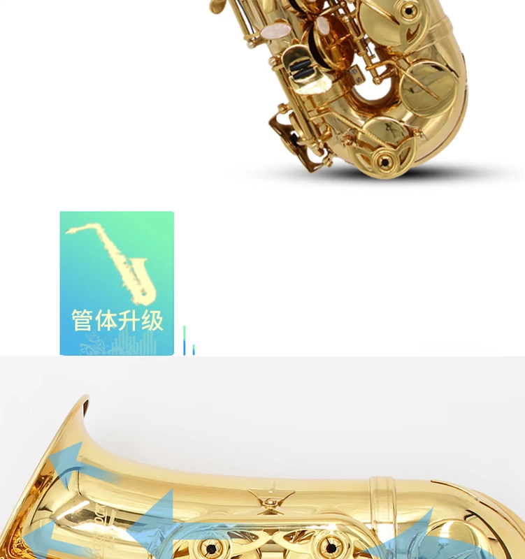 GOTHROCK Đài Loan Gothic E-Flat Alto Saxophone Dụng cụ thử nghiệm nhập cảnh cho người mới bắt đầu - Nhạc cụ phương Tây
