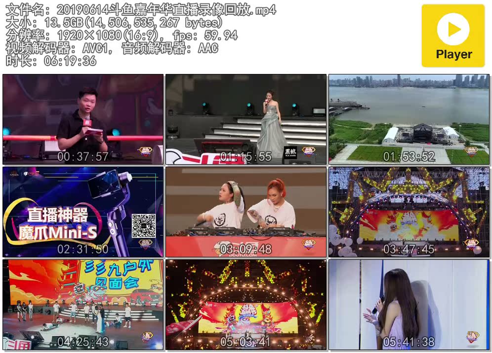 20190614斗鱼嘉年华直播录像回放-天鸡部落