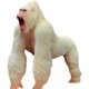 Simulated Animal Kidsren's Toy King Kong Gorilla Large Tyrannosaurus Rex Model Dinosaur Doll Monster Figure Boy