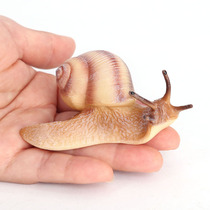 Simulation animal solid snail model toy insect children cognitive science and education micro landscape ornaments bulk